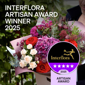 Artisan award 5 Stars